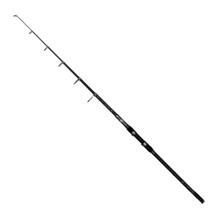 Спінінг ENERGOTEAM Black Spider Tele Carp (12170360)