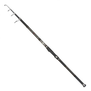 Спінінг ENERGOTEAM Black Spider Tele Carp (12170300)